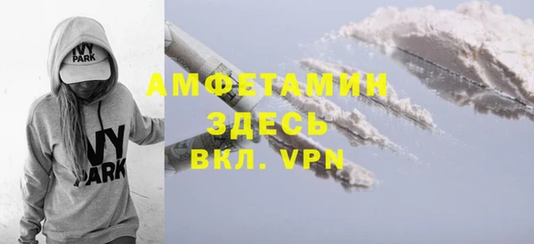 ECSTASY Богданович