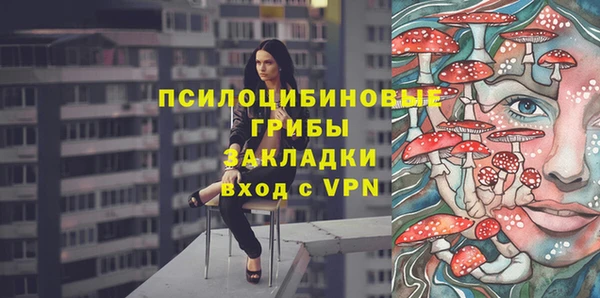 герыч Алексин