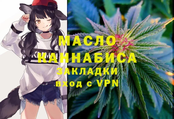 амф Надым
