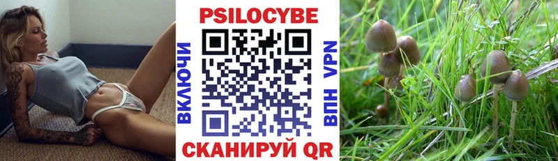 Псилоцибиновые грибы мухоморы  Дорогобуж 